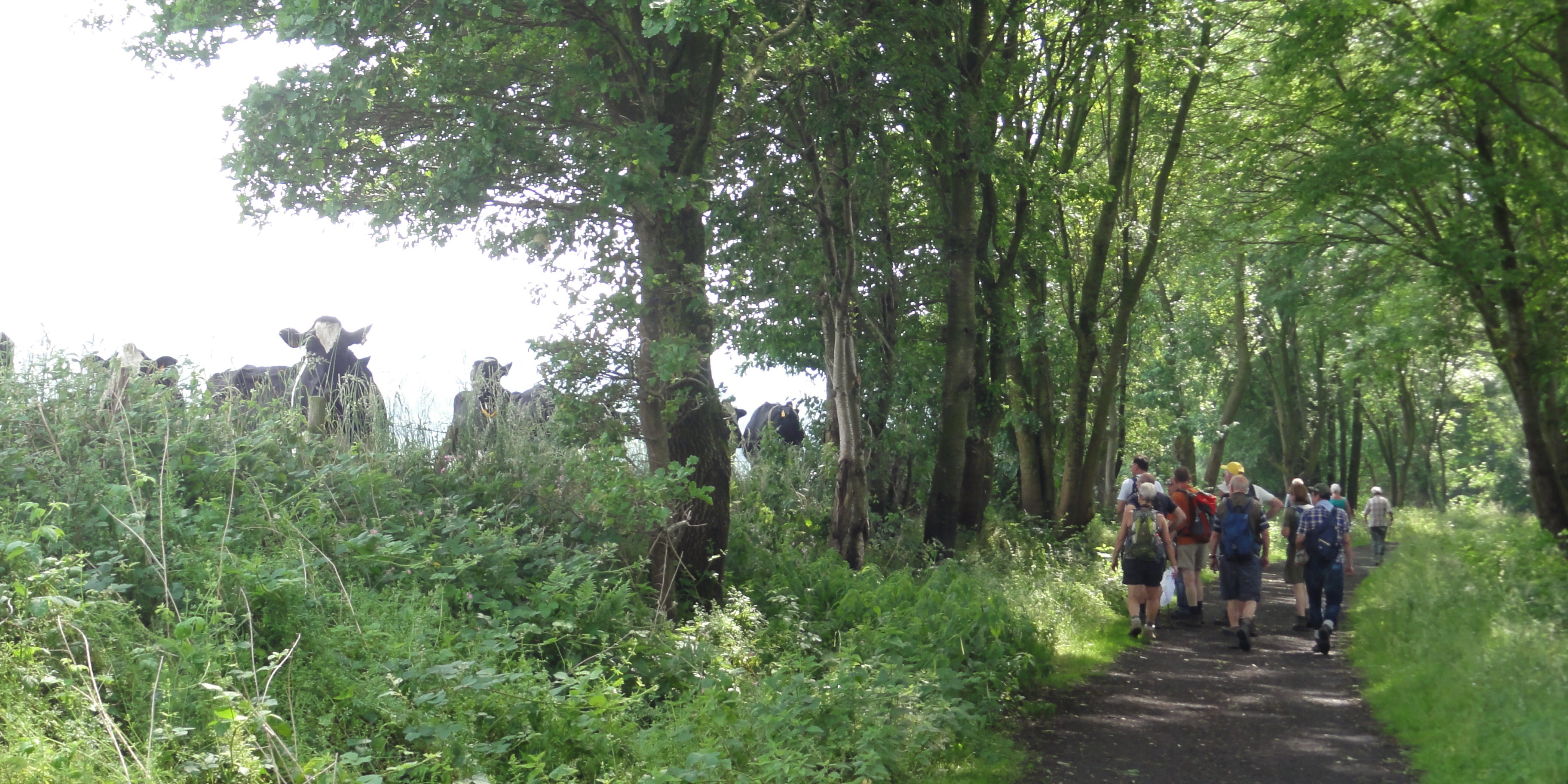 Voerstreek 2014
