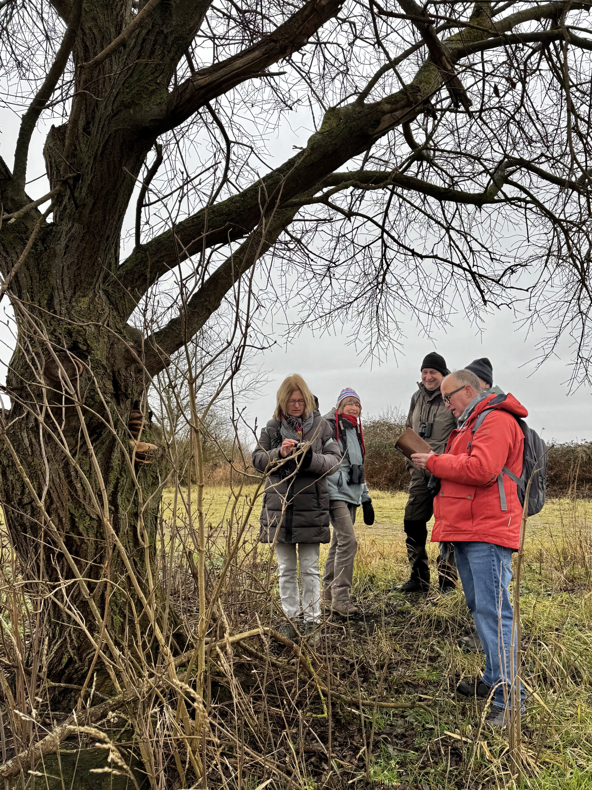 Molenplaat – 1 februari 2026
