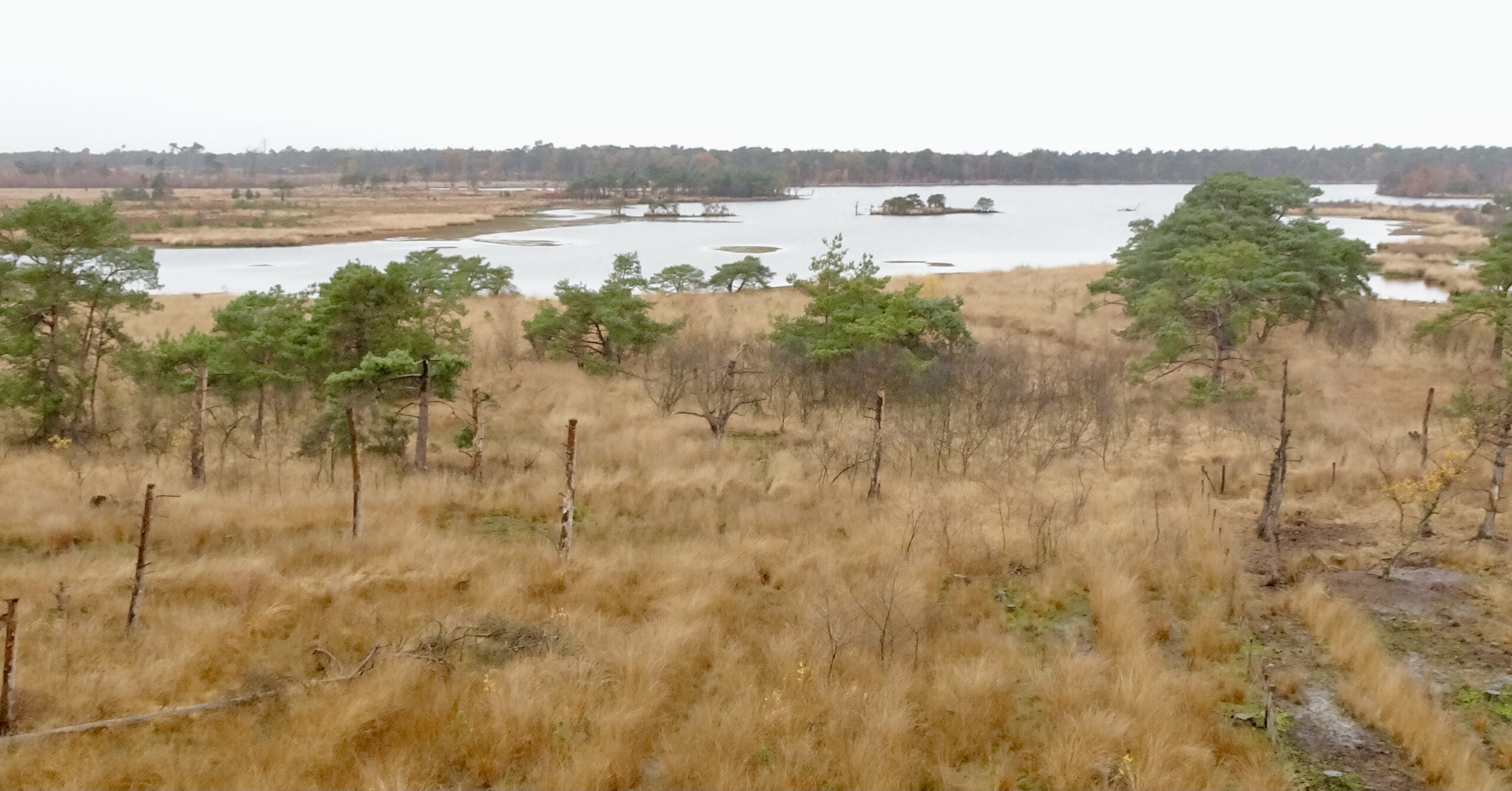 Beheer Stappersven en omgeving