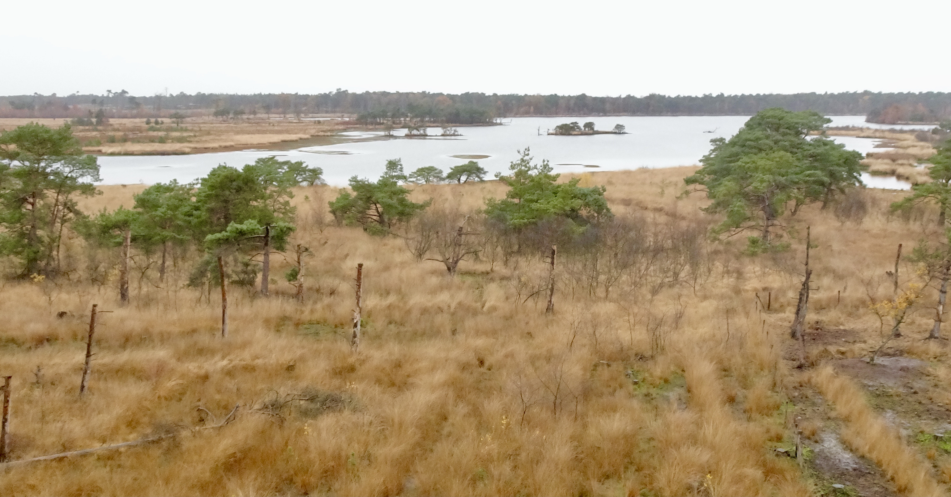 Beheer Stappersven en omgeving