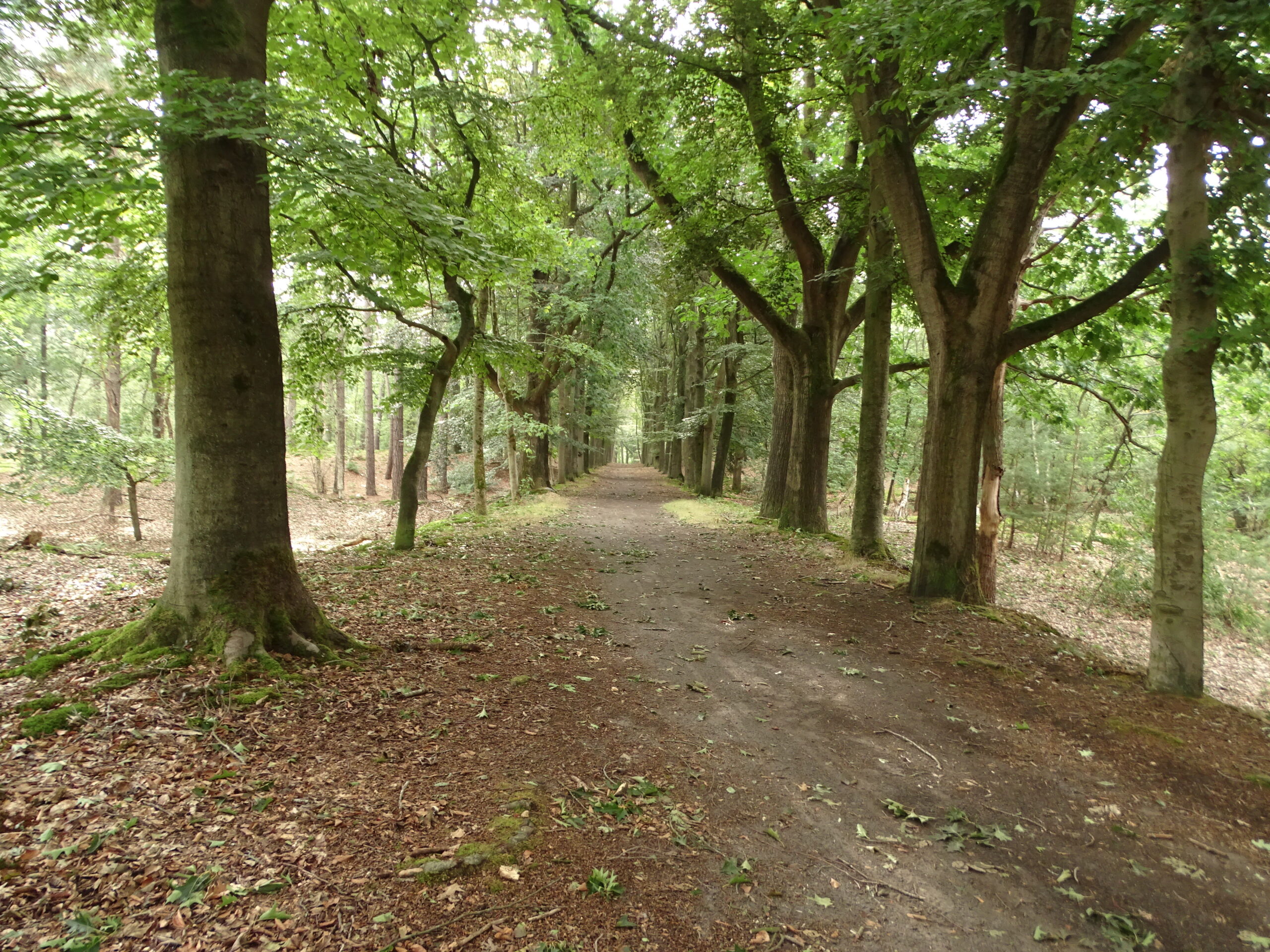 Excursie Zoomland