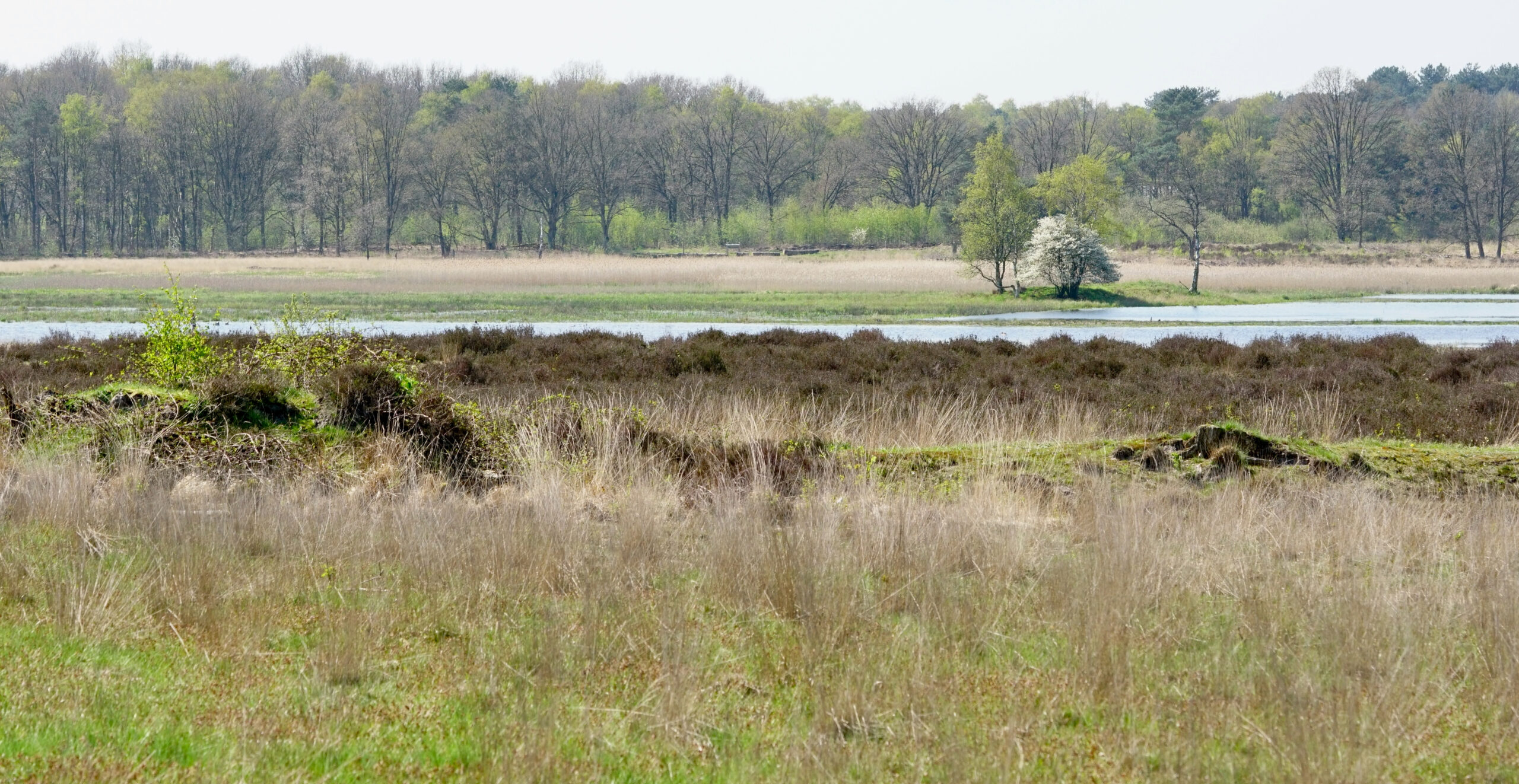 Kleine Meer in ontwikkeling